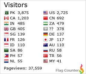 Flag Counter