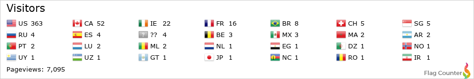 Flag Counter